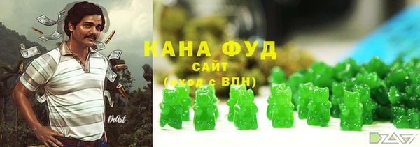 прущий лед Алзамай