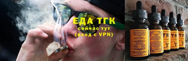 прущий лед Алзамай