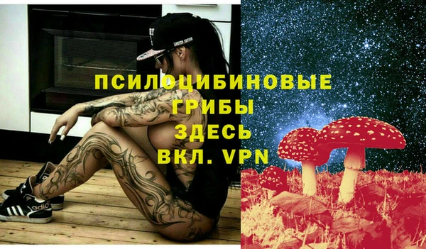 spice Алексеевка