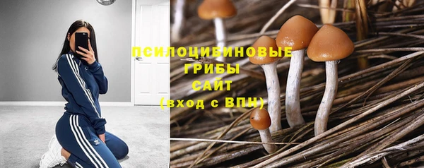 прущий лед Алзамай