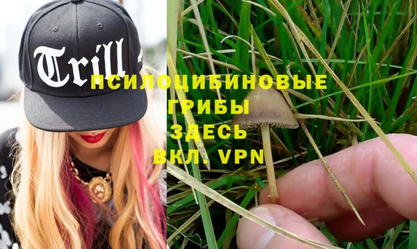 spice Алексеевка