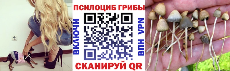 Псилоцибиновые грибы Magic Shrooms  Лагань 